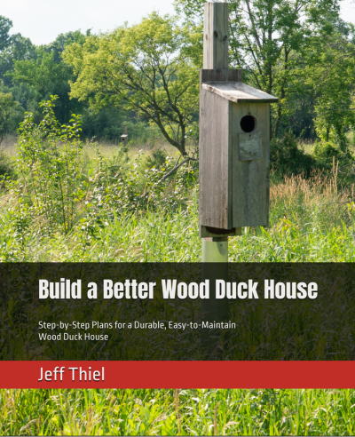 CoverPicture for Web Site